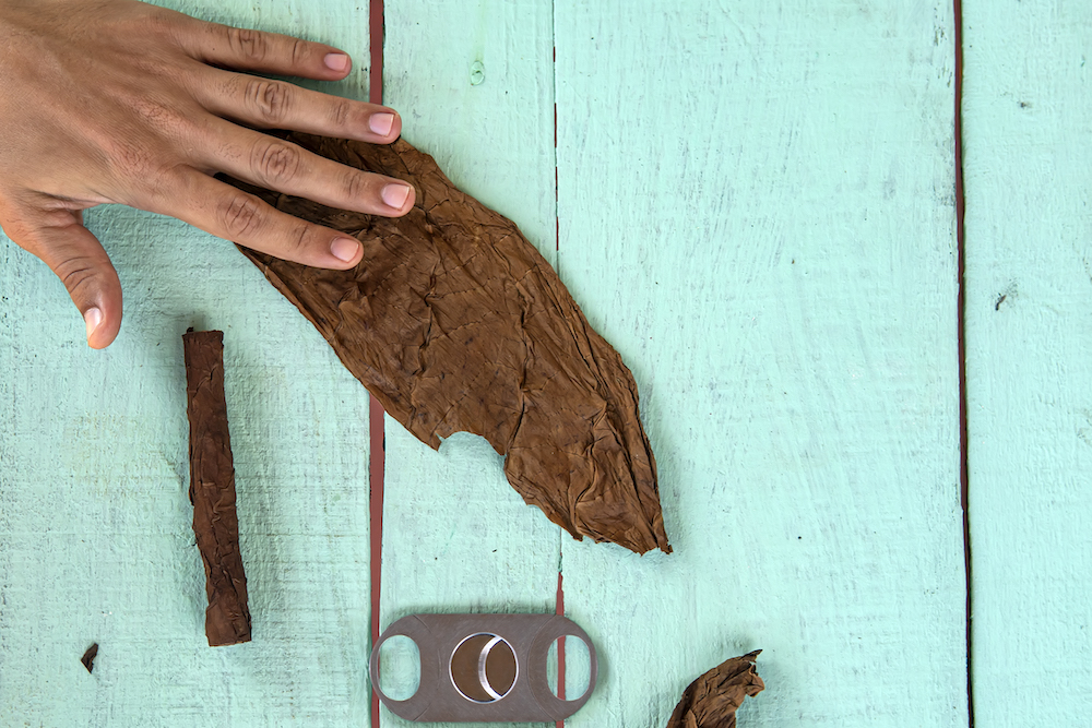 Cuba Bucket List: 10 Best Things To Do In Cuba. A man rolling a tobacco leaf into a cigar in Vinales Valley of Cuba. 