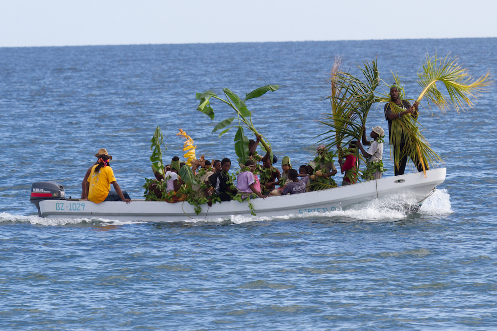 Garifuna people celebrating their settlement day with musical instruments and native vegetation parading on the beach, November 11 in Placencia Belize