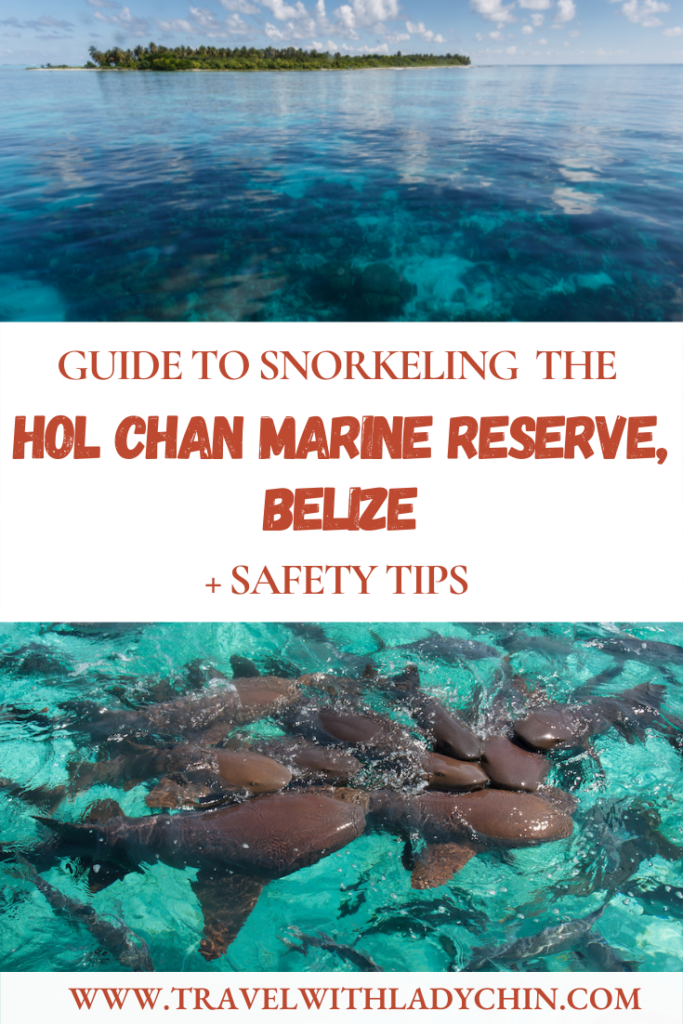 Everything you need to know for Snorkeling in the Hol Chan Marine Reserve