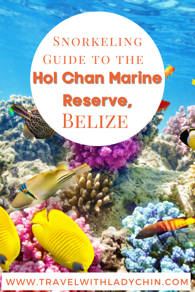 The Complete Guide for Snorkeling in the Hol Chan Marine Reserve