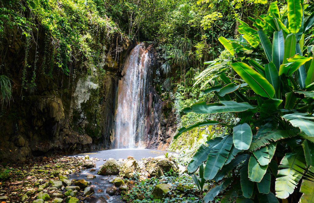 Top 10 Amazing Things To See & Do In Saint Lucia - Diamond Falls Botanical Gardens