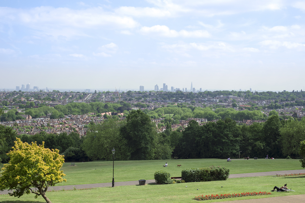 view of london city from alexandra palace grounds