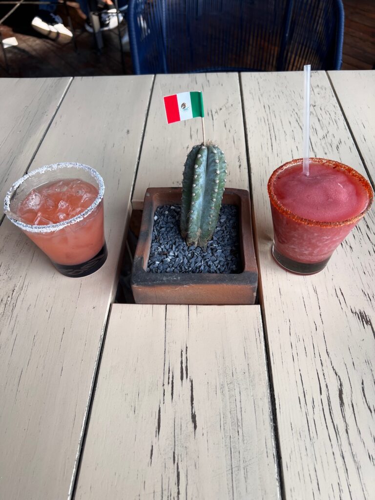 Best things to do Mexico City - Have a drink at El Mayor in Mexico City. 