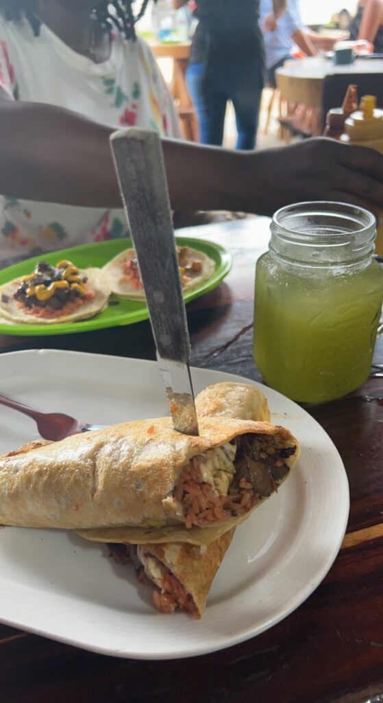 Picture of a fish burrito and cucumber lime juice from Bacalar Mexico.