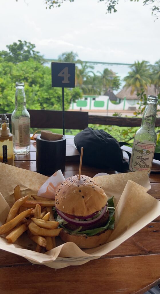 Falafel burger, fries and a soda facing the Bacalar Lagoon in Mexico. 