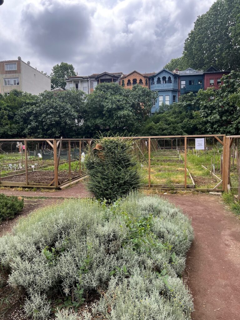 Bostani garden with blue and peach house lined up in the background. Asian Side of Istanbul.